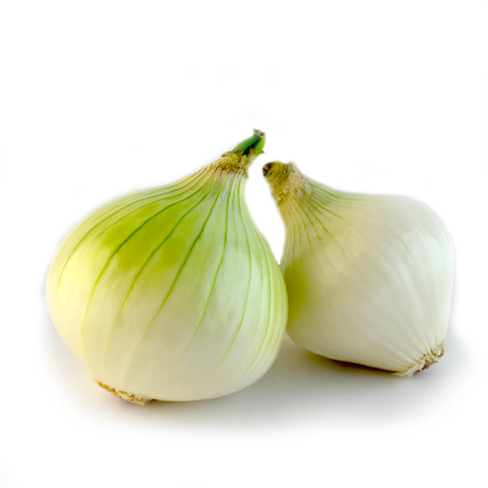 CEBOLLA