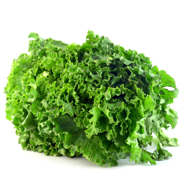 Lechuga italiana por pieza