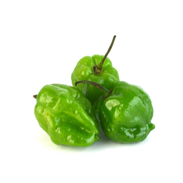 chile habanero verde por kilo