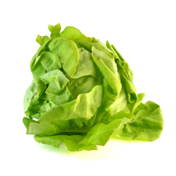 Lechuga Francesa por pieza