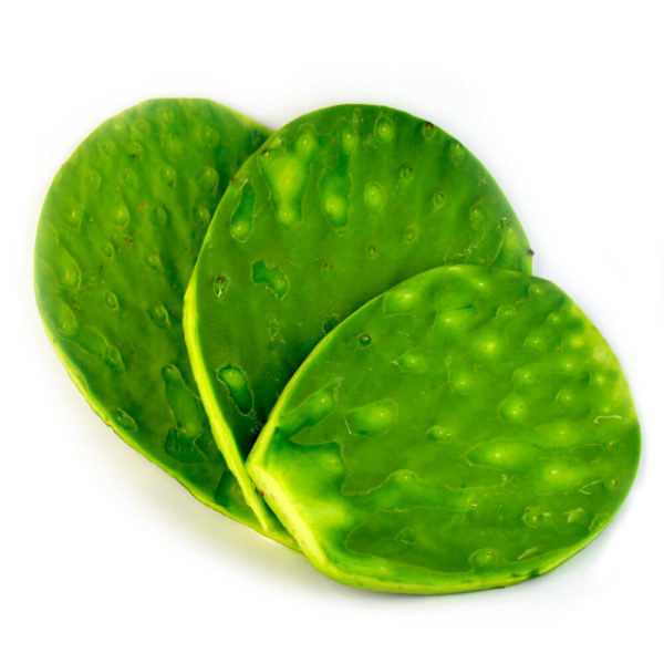 Nopal por kilo