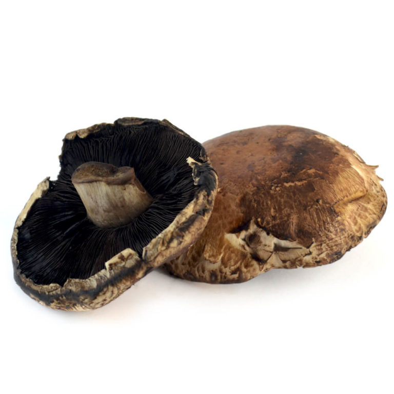 Hongo Portobello por kilo MOISANER Gourmet Tienda en Línea