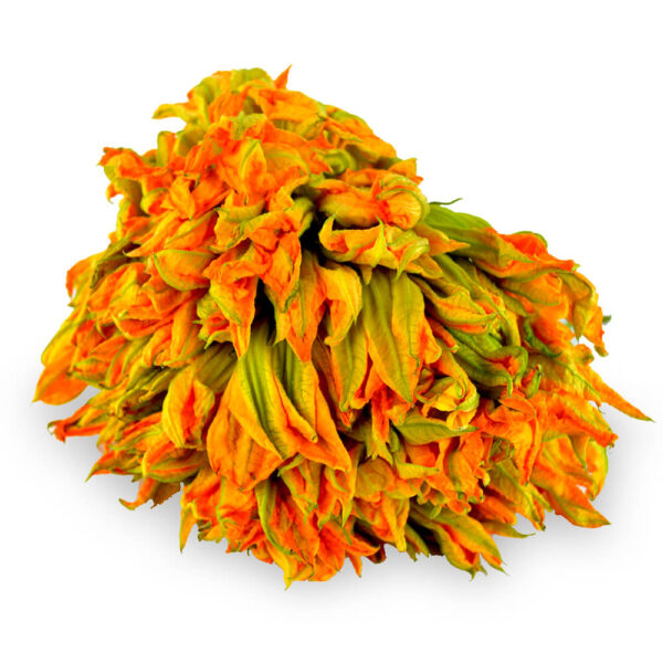 flor de calabaza por kilo