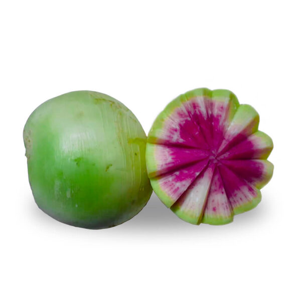 Rábano Sandia