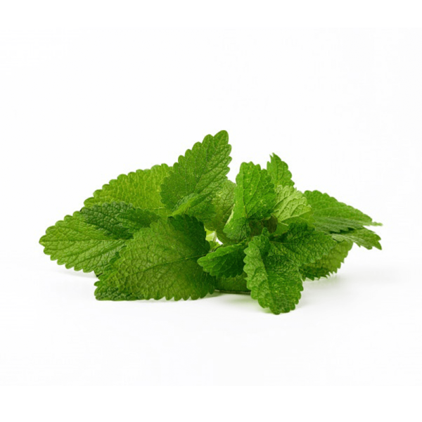menta por kilo