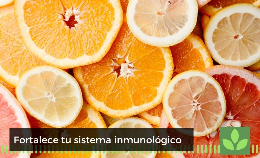 alimentos que fortalecen el sistema inmunológico