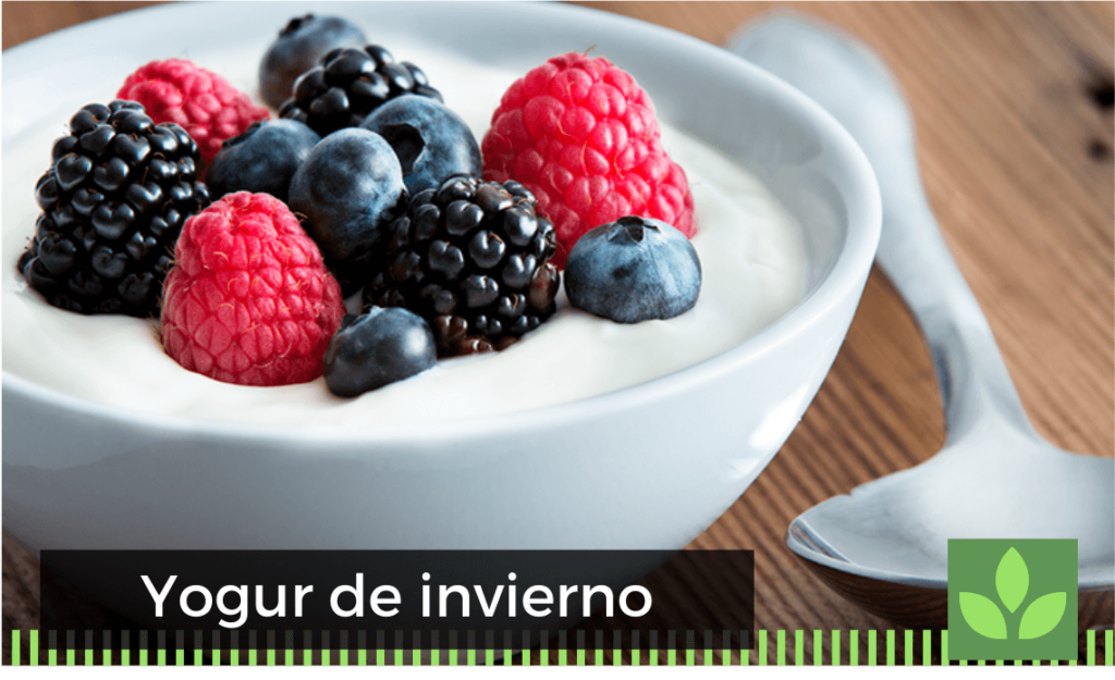 Yogur de invierno