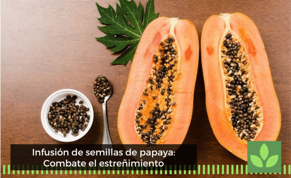 Infusión de semillas de papaya: Combate el estreñimiento
