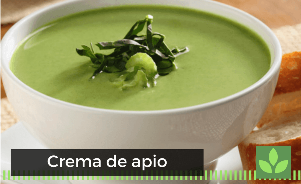 Crema de apio