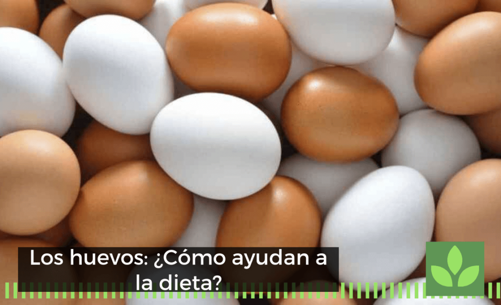 Los huevos: ¿Cómo ayudan a la dieta?