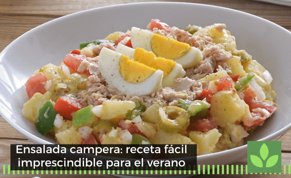 Ensalada campera: receta fácil imprescindible para el verano