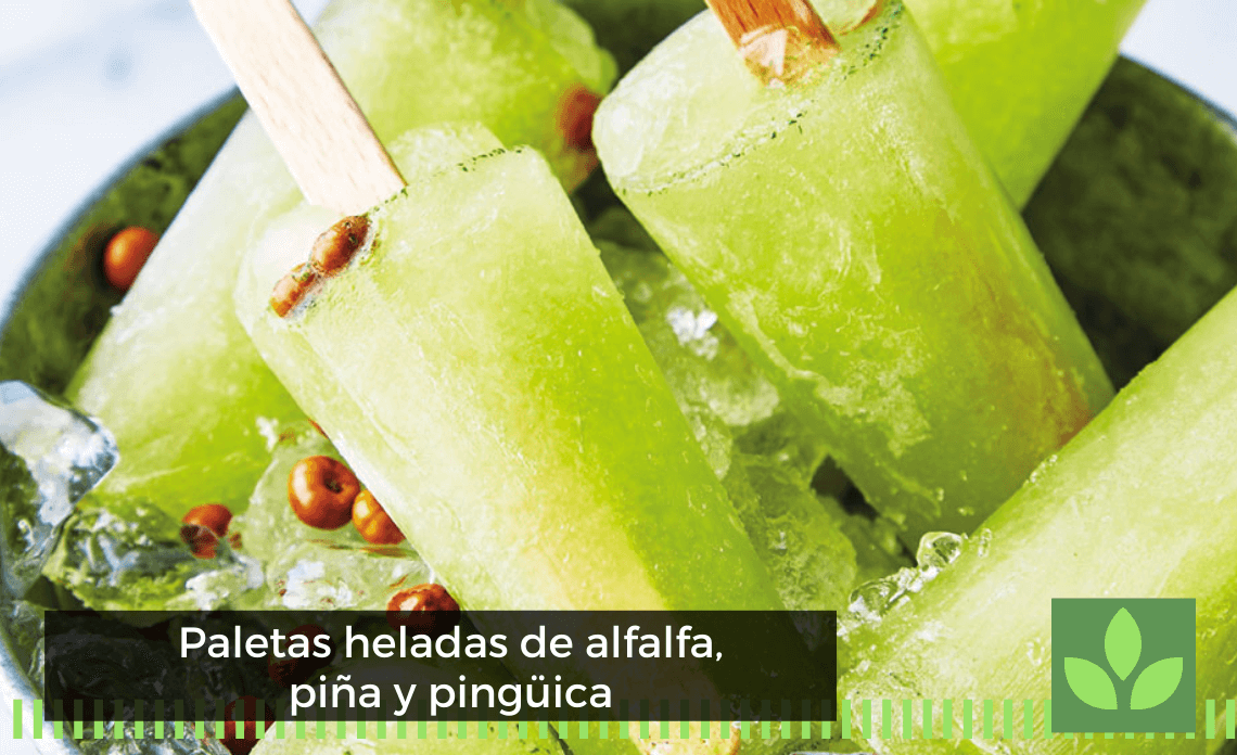 Paletas heladas