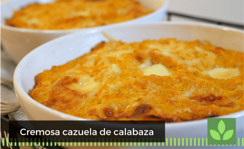 Cremosa cazuela de calabaza