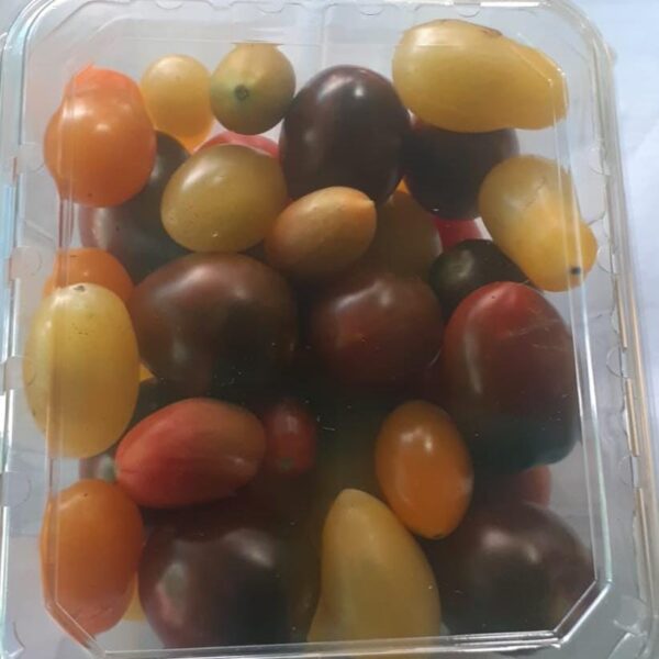 Jitomate cherry de colores